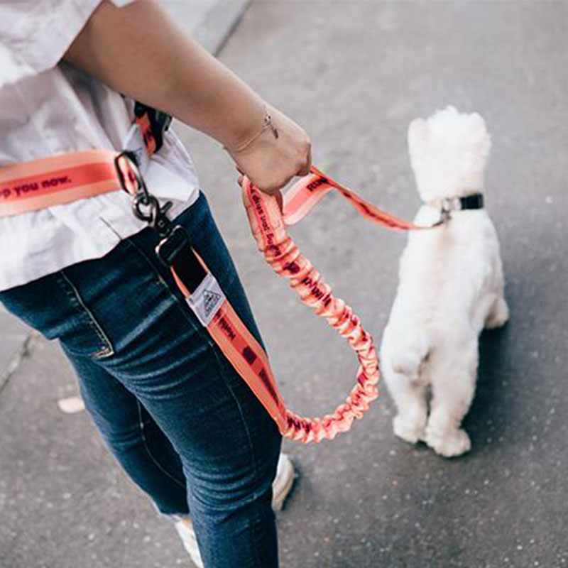 Running Belt Waist - Adjustable Hand Free Dog Leash for