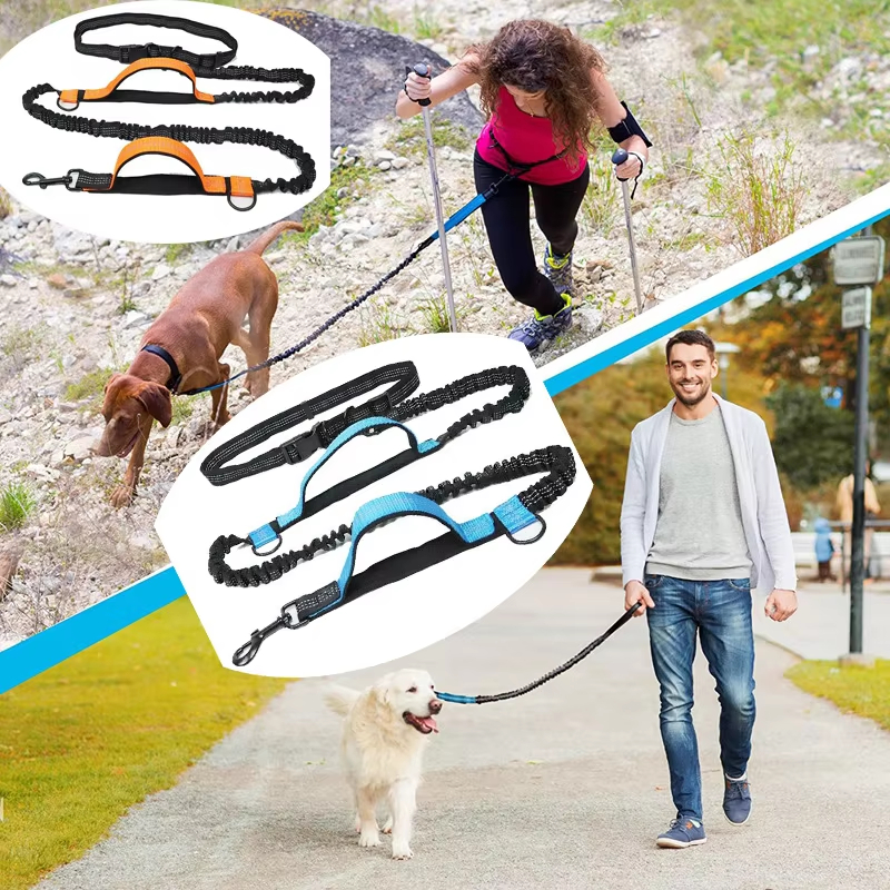 Hands Free Dog Leash Double Bu - Running Belt Waist avis et prix