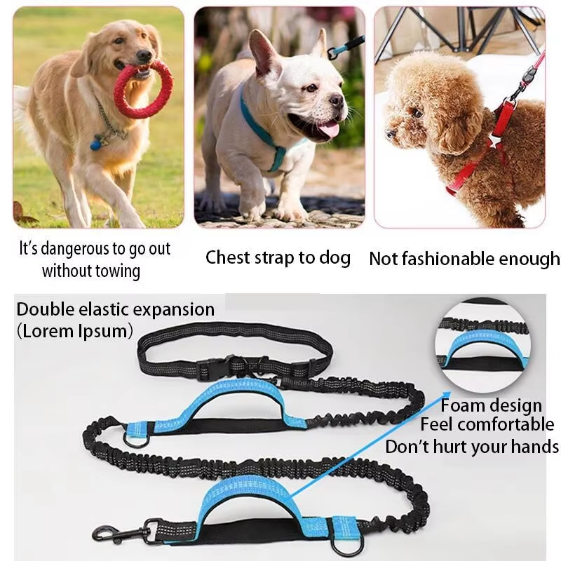 Hands Free Dog Leash Double Bu - Running Belt Waist avis et prix