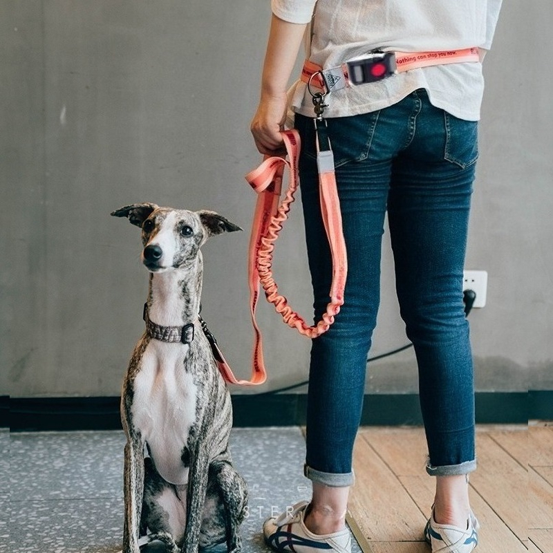 Adjustable Hand Free Dog Leash - Running Belt Waist avis et prix