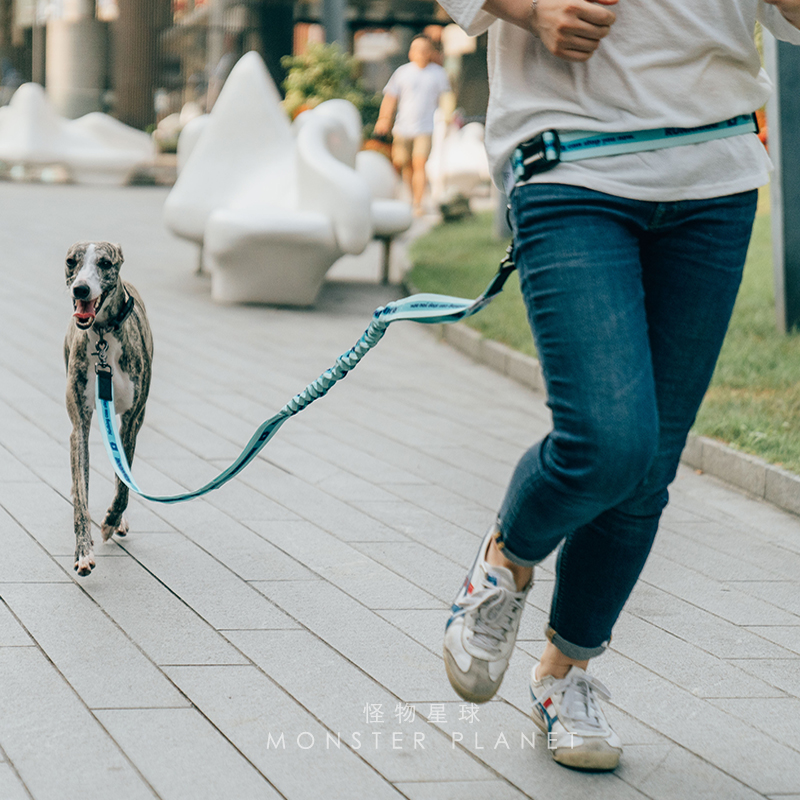 Adjustable Hand Free Dog Leash - Running Belt Waist avis et prix