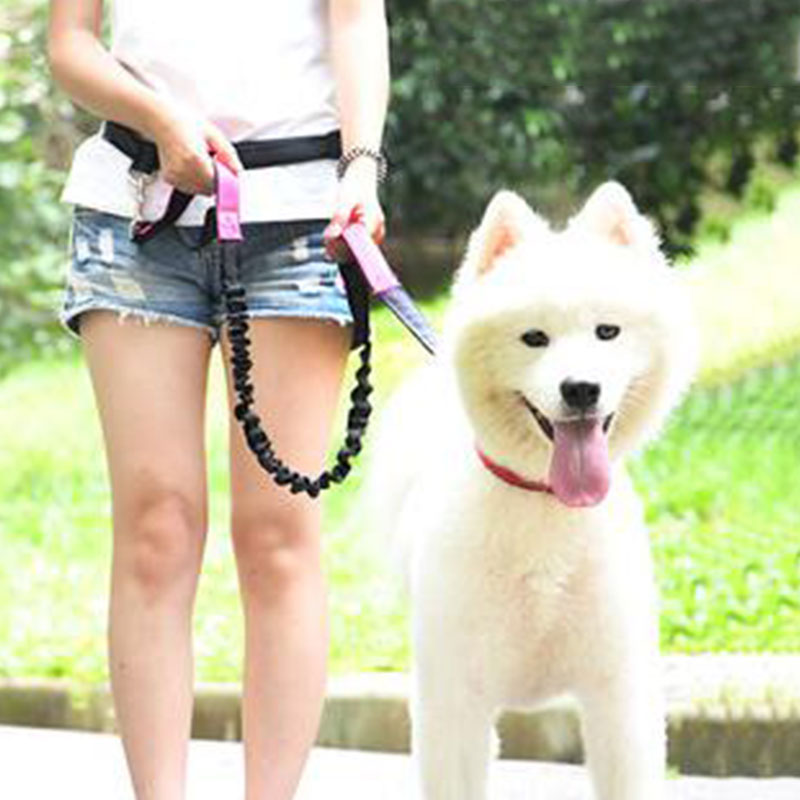 Adjustable Hand Free Dog Leash - Running Belt Waist avis et prix